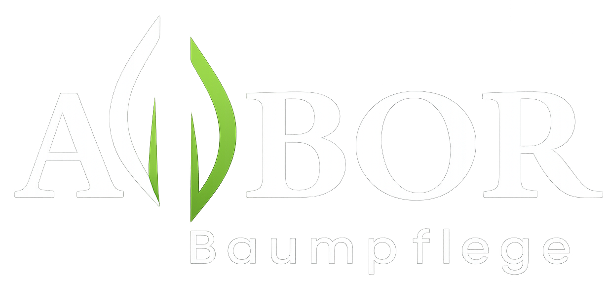 ChatGPT Image 25 أبريل 2026، 07_20_01 ص