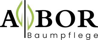 Picture2-removebg-preview